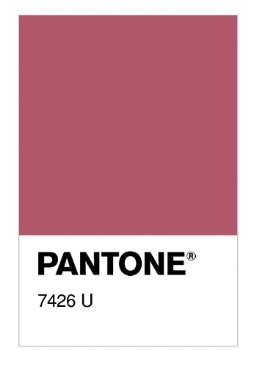 Pantone 7426.png
